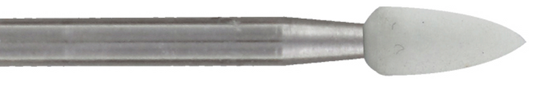 Fraises Arkansas - 661